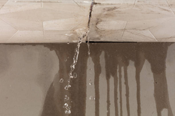 Professional Flood Damage Cleanup technician working in Washington, IL